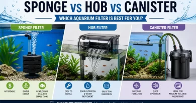 Best Aquarium Filter for Fish Tank